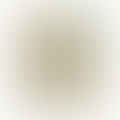 bonito flakes