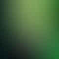 fresh lime